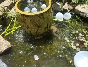 5 Fat Columns & A Fish Pond We Love NOLA Travel