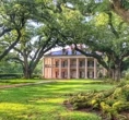 Gray Line Plantation Tours