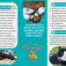 Tall Tails Pet Sitting