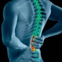 Performance Chiropractic