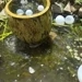 5 Fat Columns & A Fish Pond We Love NOLA Travel