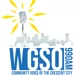 The Somthing to Say Radio Show/WGSO 990am