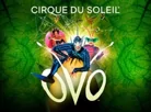 Cirque du Soleil