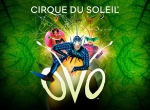 Cirque du Soleil