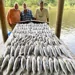 St. Bernard Fishing Charter