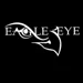 Eagle Eye Communications Security