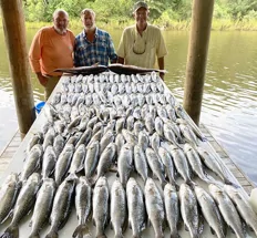 St. Bernard Fishing Charter