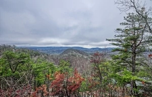 Tanner Manor - Kissing the Clouds - Pigeon Forge, Tennessee