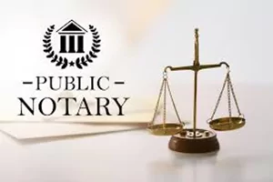 The Nice Notary