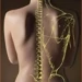 Louisiana Chiropractic Center, LLC