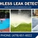 Trenchless Leak Detection