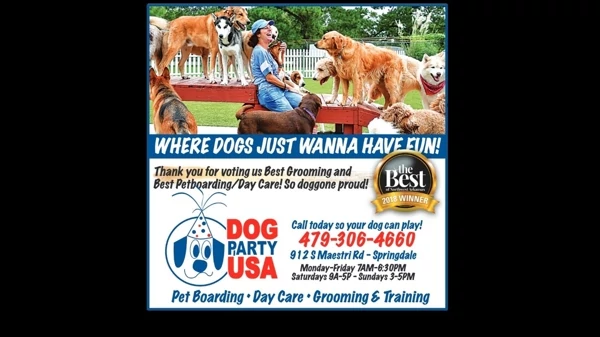 Dog Party USA